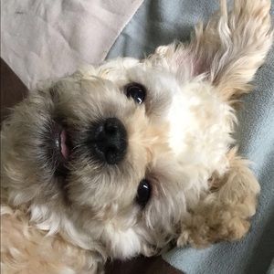 Meet your Posher, Gracelynn